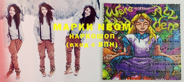 гидропоника Аша