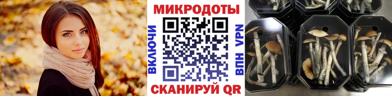blacksprut ССЫЛКА  площадка наркотические препараты  Галлюциногенные грибы MAGIC MUSHROOMS  Андреаполь 